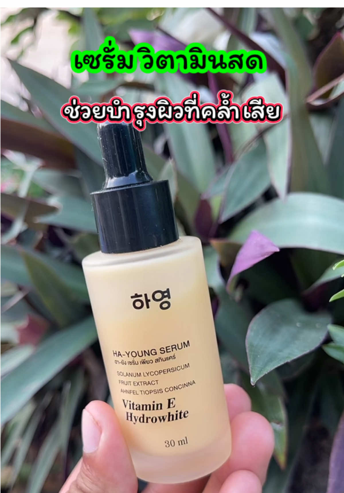 เซรั่มวิตามันสด แก้ปัญหาผิดแห้ง หมองคล้ำ #แก้ปัญหาผิวหมองคล้ำ #เจ้ฝนพิกัดของดี #เซรั่ม #เจ้ฝนบอกพิกัด  @เจ้ฝนบอกพิกัดของดี  @เจ้ฝนบอกพิกัดของดี  @เจ้ฝนบอกพิกัดของดี 