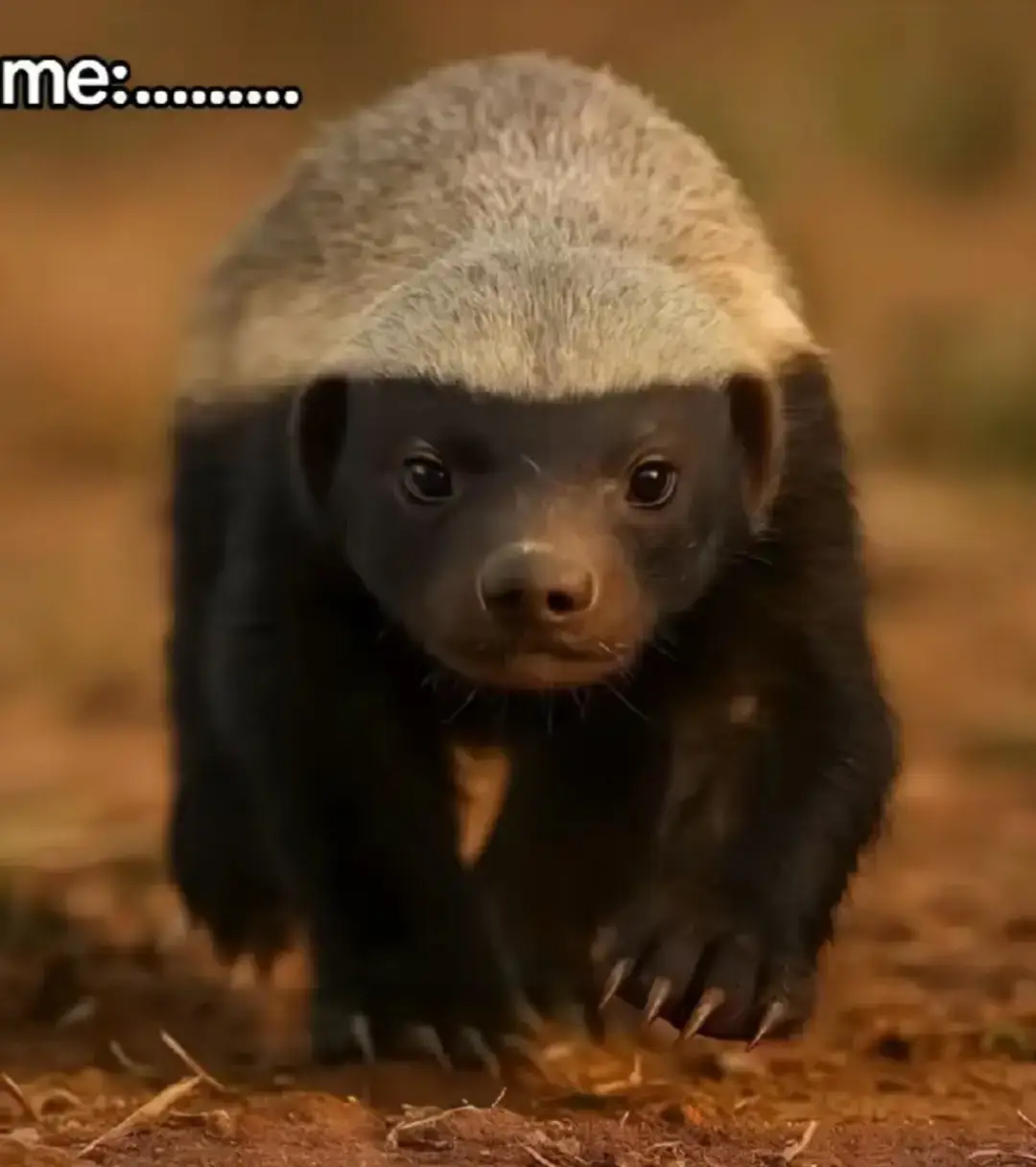 #trend #شعب_الصيني_ماله_حل😂😂 #tiktokindia #onthisday #pppppppppppppppp 