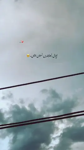 Mention🥹🫵👀🙌 . . . #fyp#poetry#foryou#uk @🕊️❤️‍🔥 