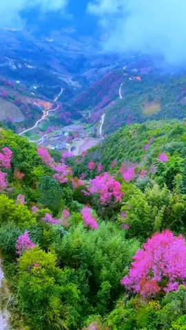 Thư Tình Em Gái  ...!!!                          #Mylove 💜💜#xuhuongtiktokk #bolero #foryou #CapCut 