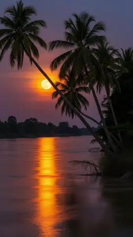 ដងស្ទឹងសង្កែ #សុិនសុីសាមុត 