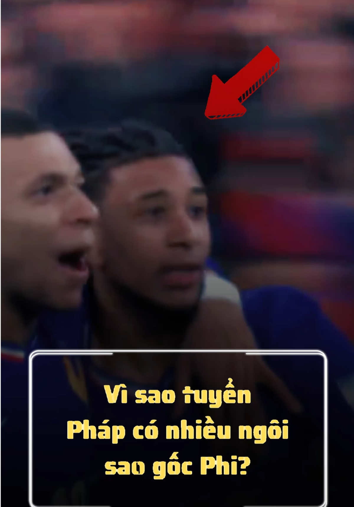 Vì sao tuyển Pháp có nhiều ngôi sao gốc Phi? #bongda #france #football #foryou #fyp 