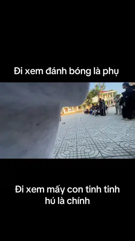 Xin lỗi vì đã nói các em như vậy