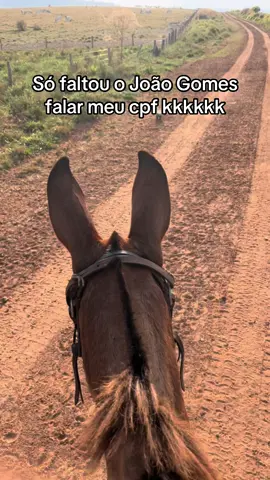 #fyppppppppppppppppppppppp #foryou #pecuariabrasil🇧🇷🐂🐂🐂🐂 #viralvideo 