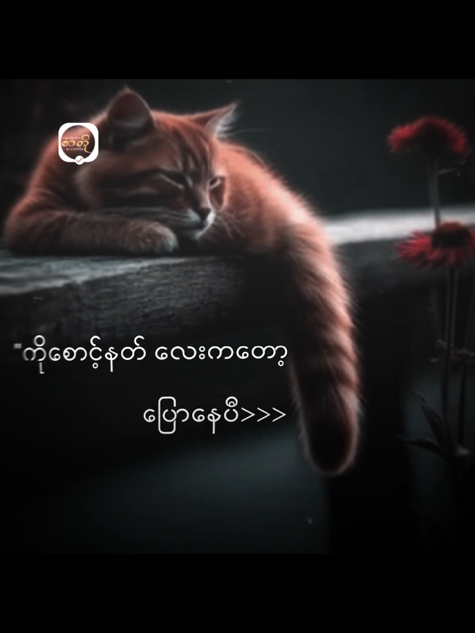 #စာတို #fypage #fypပေါ်ရောက်စမ်း #cmz321စာတို #တကယ်ပါဗျာ😔😔😢😢😔 