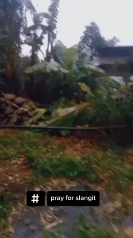 kejadian sore tadi di daerah desa slangit kecamatan klangenan cirebon,masyaallah slangit lg yg kena angin puting beliung, mugi2 anak putu cirebon slalu dlm lindungan mu Ya allah🤲🏻 #prayforslangit  #cirebon  #anginputingbeliung  #fyppppppppppppppppppppppp 
