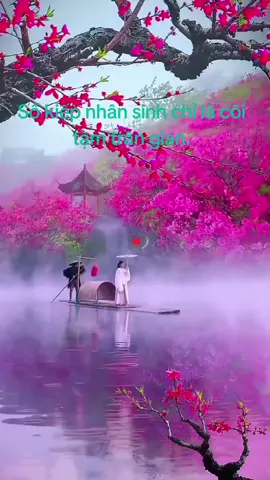 Đời là cõi tạm,.. Hồng trần như mộng...#hashtag #tamtrang#tramcamxuc💔 #phatphapnhiemmau #viral 