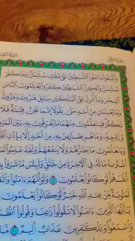 #tik_tok #quran #s cajib waaye Shiiqeyna sh Cali sh Ibrahim