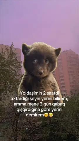 ##MemeCut #keşfet #keşfetbeniöneçıkar 