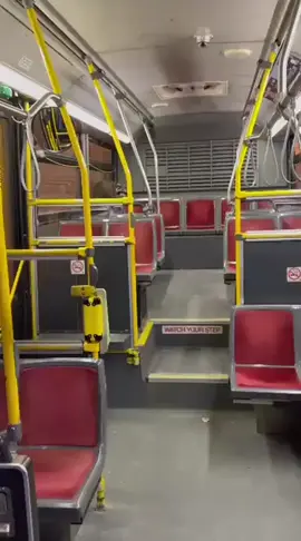 Raccoon on the ttc bus #toronto #ttc #torontosubway 