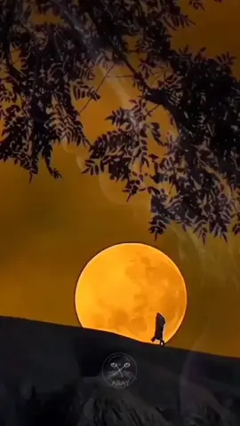 Aku pernah mengengam Seseorang agar tidak pergi#fyp #fyppppppppppppppppppppppp 