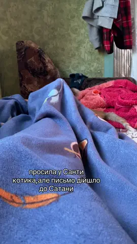 #харків#кіт#рекомендации 