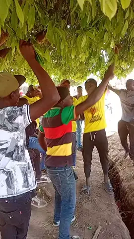 people pawa away pawa👊👊👊👊👊👊👊👊👊👊👊👊🤛🤛🤛🤛🤛🤛