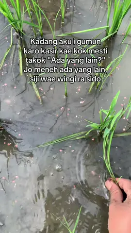 Wis ra patut blass😭🤣 #petani #petanimuda #petaniindonesia🇮🇩🇮🇩🇮🇩🌿🌿 #sawah #fyp  just konten🙏😁