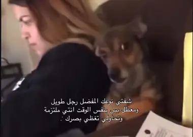 #f #fyp #foryou #مالي_خلق_احط_هاشتاقات #الشعب_الصيني_ماله_حل😂😂 