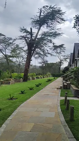 #lakeoloidenresort #naivashatiktokers #kenyantiktok🇰🇪 #memories #fyppppppppppppppppppppppp 