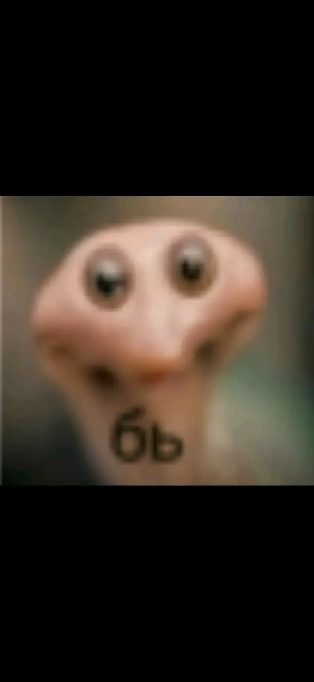 #бь #бь #бь #бь #бь #бь