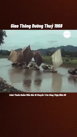 Cảnh Đoàn Thuyền Buồm Bắc Bộ Di Chuyển Trên Sông 1968. #nongthonvietnam #nongthonbacbo #quehuongvietnam #đamcuoixua #Kyucxua 