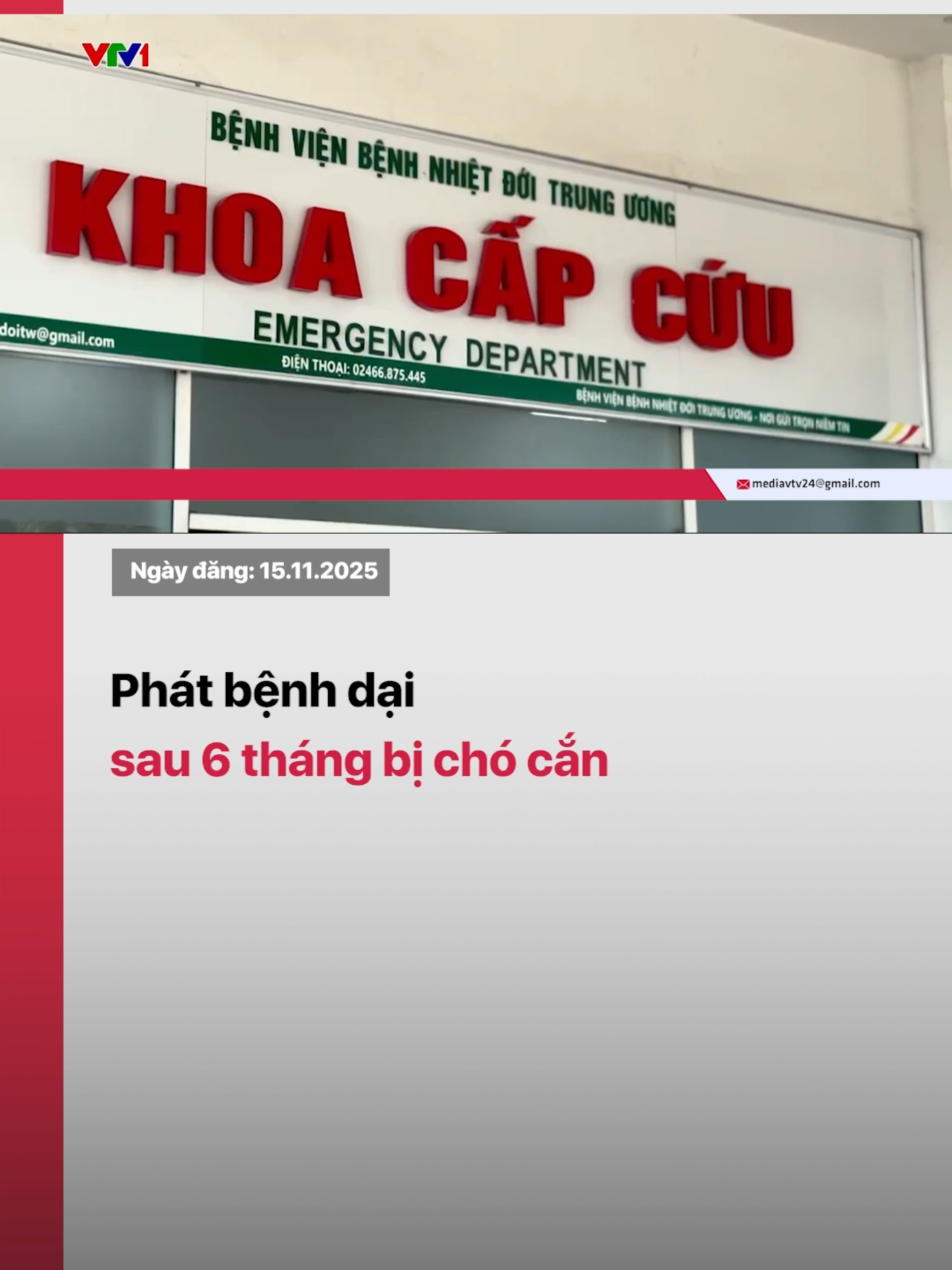 Khoảng 6 tháng trước, bệnh nhân từng bị chó cắn nhưng không tiêm vaccine. #tiktoknews #vtvdigital #vtv24 #benhdai #songkhoe247