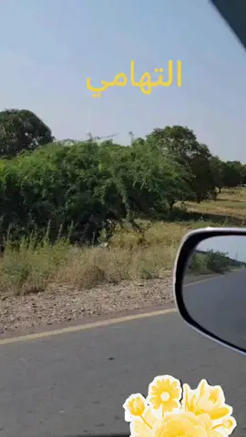 #الوادي  ذي السنه طيابه