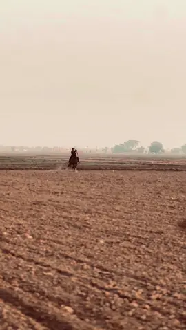 First video del by tik tok 🫠🔥#abeerjutt 