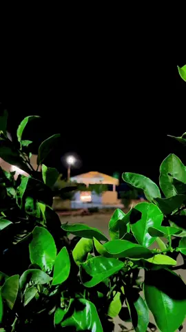 #تصويري📸 #تصويري_احترافي_الاجواء👌🏻🕊😴 #اكسبلورexplore #تصميم_فيديوهات🎶🎤🎬 