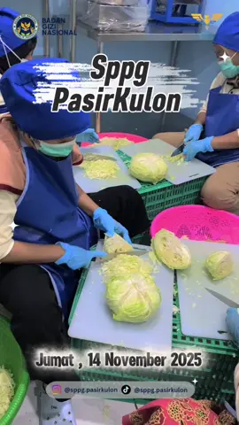 #mbg #bgn #makanbergizigratis #badangizinasional #sppgpasirkulon 