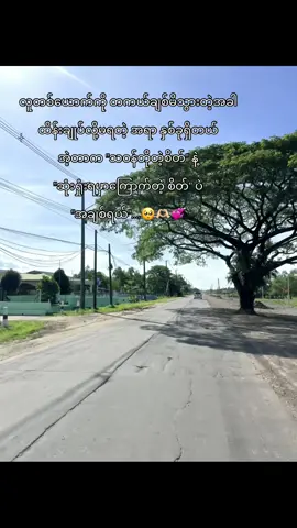 🥺🫶🏻💞#ထားဝယ်သူလေးပါနော်🇲🇲 #fyp #fypage #မင်းတို့idolဖစ်ချင်လို့🤭💖 #myanmartiktok🇲🇲🇲🇲 