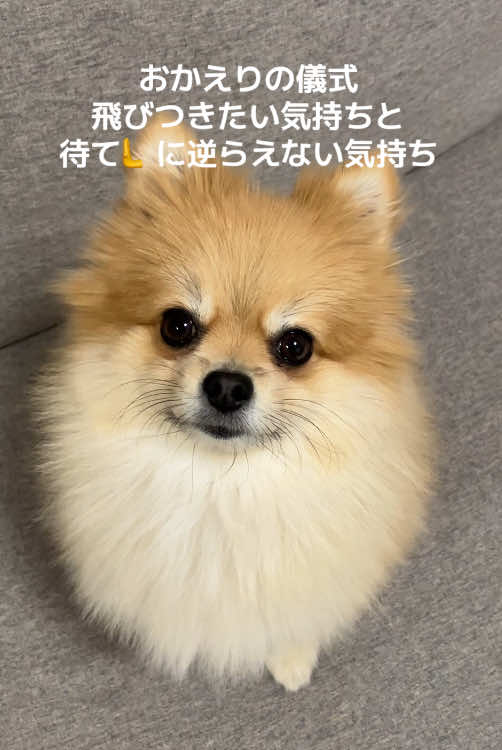 一生懸命耳傾けてくれる🥺