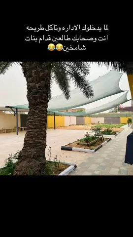 متابعه لصفحه للستمرار  #ليبيا_طرابلس_مصر_تونس_المغرب_الخليج #شعب_الصيني_ماله_حل😂😂 