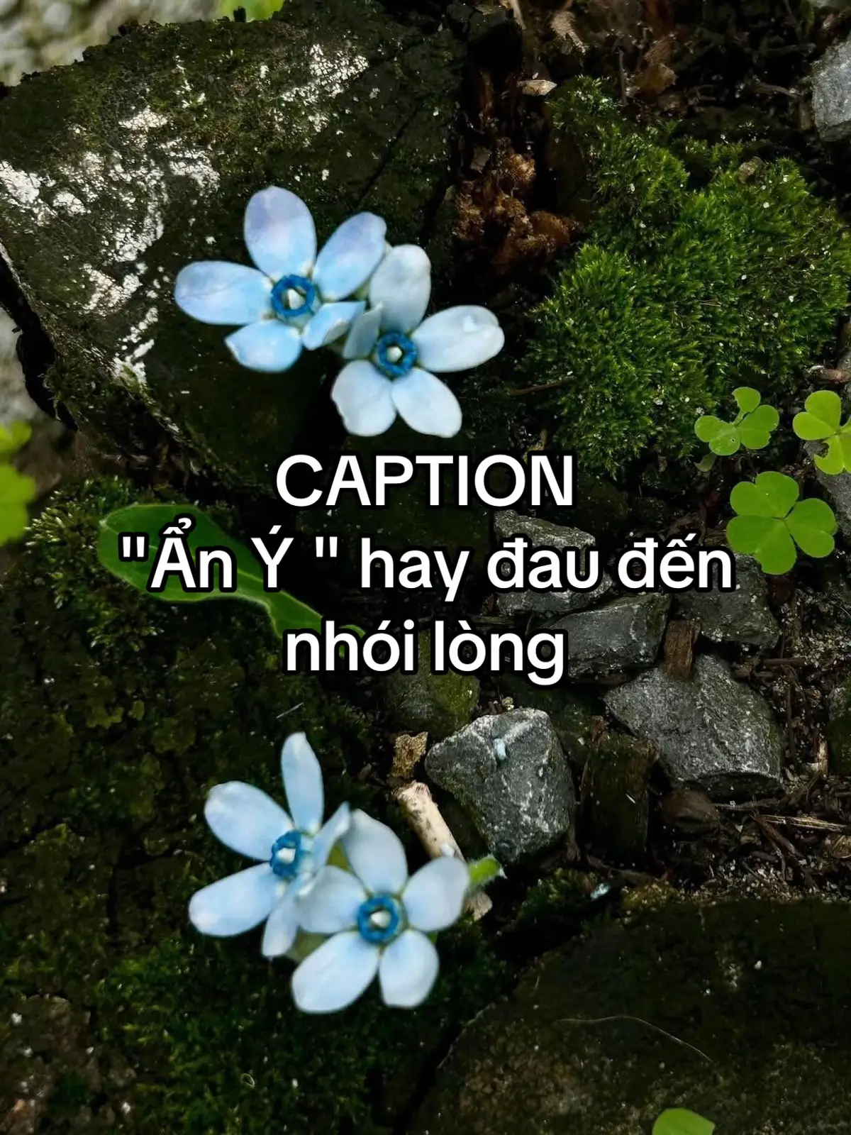 #sadstory #heal #captionhay #status #stt_buồn_tâm_trạng 