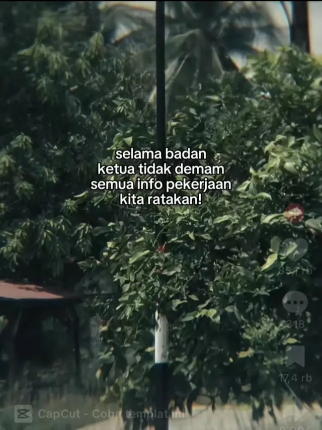 #storywa #fypシ゚ #zxycba 