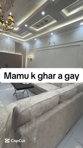 Papa ko airport chor kr mamu k ghar a gay! #fyp #viralvideos #minivlogseries #viralditiktok #DailyRoutine 