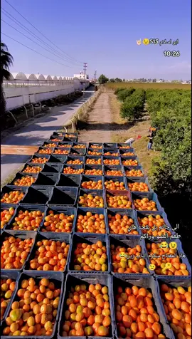 #تركيا #اكسبلورexplore #ترسوس_تركيا_مرسين #الشعب_الصيني_ماله_حل😂✌️ 