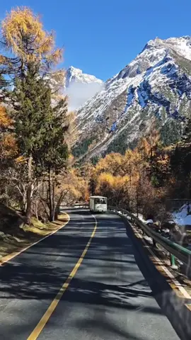 毕棚沟超美的一段路🏔运气超级好，从燕子岩下来坐到了第一排的观光车，太美了！#毕棚沟#我要上熱門 #治愈系风景 