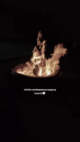 #invasoresdenuevoléon #parati #viral #fyp