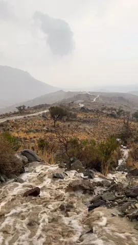 #امطار #بني عمرو#اكسبلورexplore #تصويري_احترافي_الاجواء👌🏻🕊😴 #الجنوب 