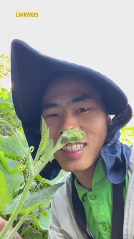 Cắt xào ngọn bí #tungxanh #phucvuxanh #phanbonantoan #chiasekinhnghiemxanh #luongminhkhaimy1023 