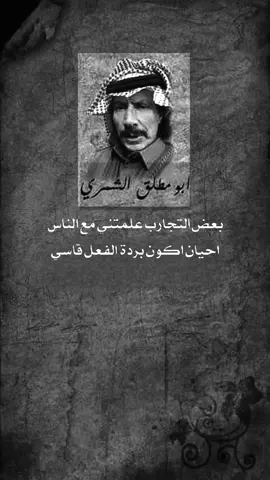 #ابومطلق_الشمري #قصيد #شعر #fyp #foryou 