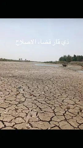 شط ابو لحية نهر دجلة 