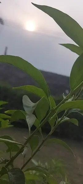 #ياربي_بس_مطرها_💙🌸 #تعليقاتكم_لايك_كومينت_اكسبلور 