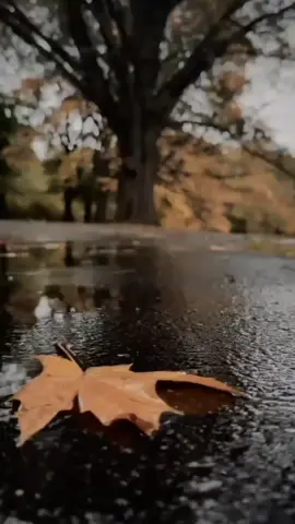 Derdi çok bu yalan dünyanın ya Rabb! İsyan edenlerden eyleme bizi.. #dünya #insan #sabır#şükür #keşfet 