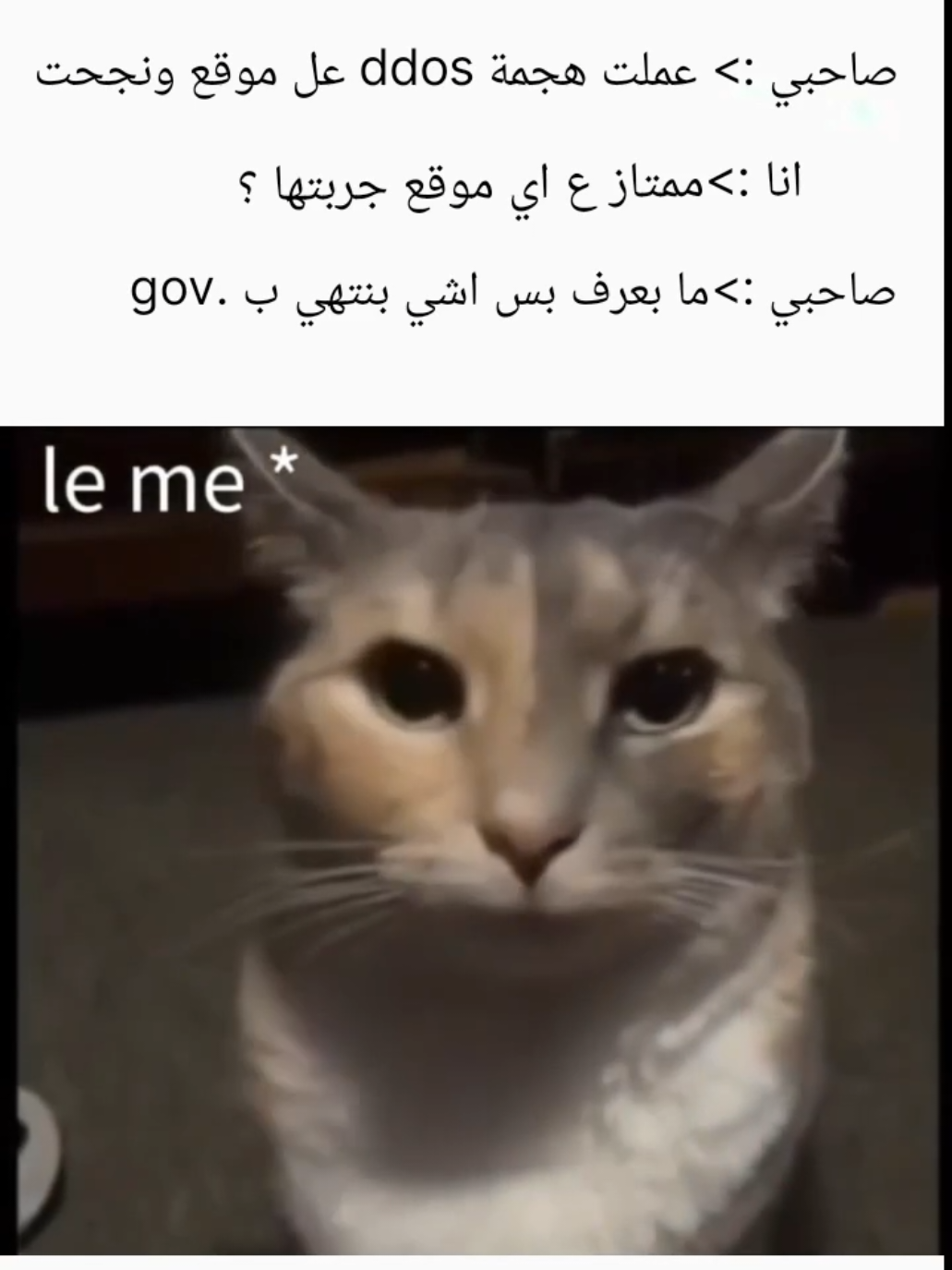 #ترند #trend #ddos #hacker #? 