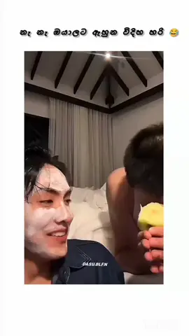 ලංකාවේ ඩාඕගේ fansla;- අනේ සුදාපච්චි හිතලා නෙවෙ කියන්නේ. සමාව දෙන්න දෙවියනේ 😫😫  ( එයලගෙ වචන ශබ්ද කරන විදිහ වෙනස් 😂)  #creatorsearchinsight #thailand #daou #thaiactors #bl 