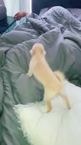 #onthisday #VoiceEffects 