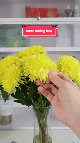 Xài nước dưỡng hoa này chưng bông được nửa tháng | Nước dưỡng hoa Dr. Natro | Nhân check #review #nhancheck 