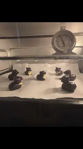 Maxwell Cat #cooking #cookies #baking #fyp #vibe 