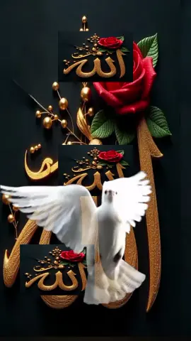 #الله اكبر الله اكبر 