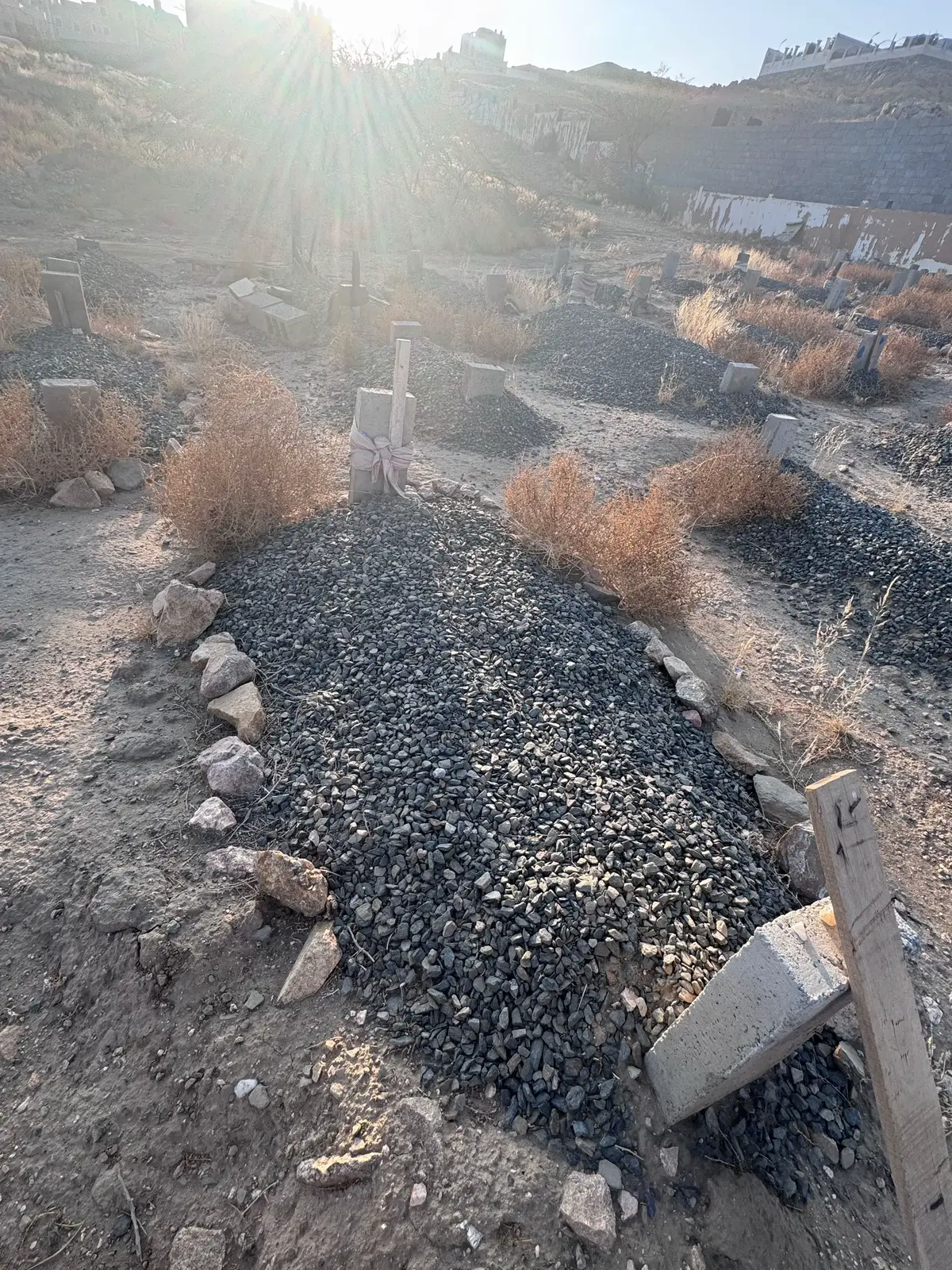 ‏اللهم  في يوم الجمعة أرحم كل غالي فقدناه .. ‏اللهُم أرحم موتانا وطيّب ثراهم وأكرمهم وأجعل  ‏الجنه دارهم ومأواهم اللهُم أرحمهم رحمة واسعه واجعل قبورهم روضةً من رياض الجنه 