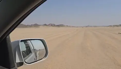 شركه حميده الحكـ. ومه المـ. صريه